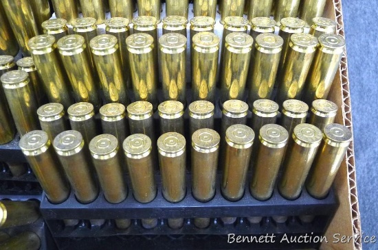 300 pieces once-fired .30-06 brass.