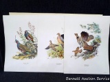 Eight bird prints by Ned Smith are from the Field & Stream's Portfolio of Game Birds. Prints are