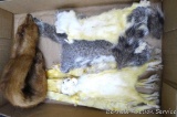 Ermine, weasel and gray squirrel skins, weasel is approx 17