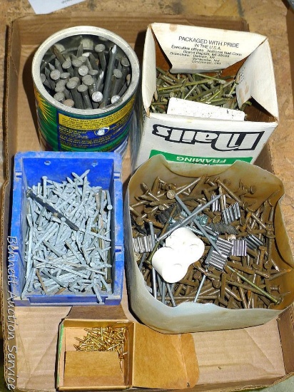 Assortment of nails and screws.