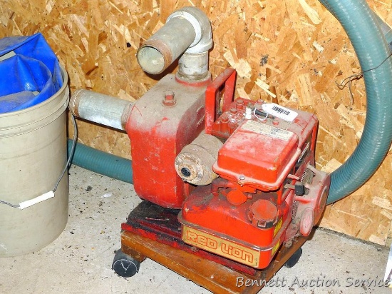 Red Lion Briggs & Stratton HP pump model RLGF-8 with 2" pipe; 5 gallon pail with flexible hose in;