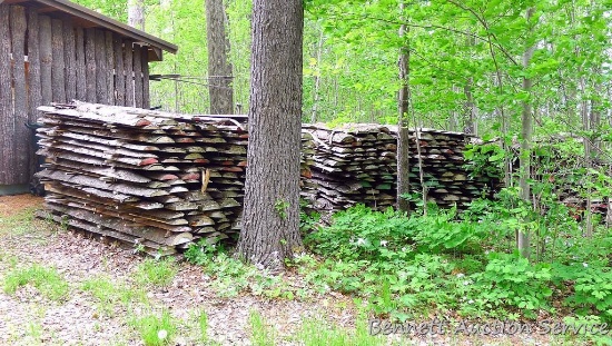 Three stickered piles, plus more pine slab wood. All about 100".