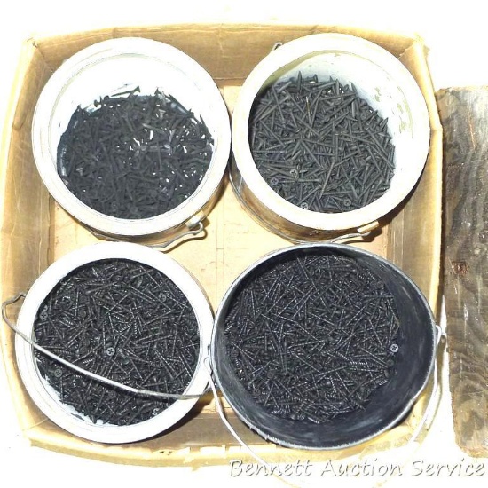 4 Partial paint pails of sheetrock screws, longest is 1-3/4".