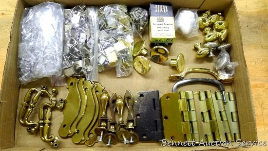 Hinges; cabinet knobs; corrugated fasteners; shelf clips and pegs.