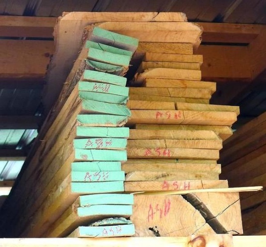 Rough sawn ash boards up to 12" x 100".