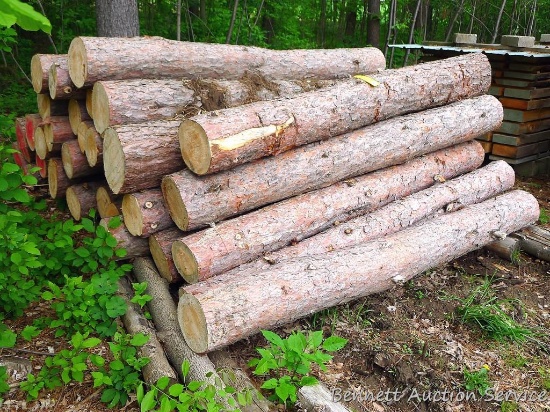 Red pine saw logs, most or all around 100". Largest butts are about 12" across. Almost three dozen.
