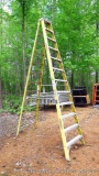 Werner Electro-master 12' non-conductive fiberglass step ladder, Type 1A, 300 lb rating. Model 7212.