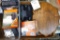 Two foreign voltage converter kit; wooden antler mounting board is 9-1/2