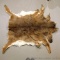 Whitetail deer hide has been tanned, measures approx. 3' x 4'.