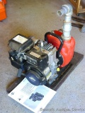 Red Lion pump model RLGF-8 has Briggs & Stratton 3.5 HP motor model 91232. Unit is mounted to wood
