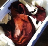 Tote contains several pieces of tanned deer hides. Largest approx 35
