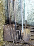 Spade shovel, rock rake, garden fork, more. Tallest is about 67