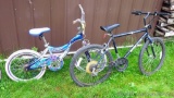 Magna high impact 18 speed mountain bike, and a Next Tropical Splash youth bike. Mountain bike is