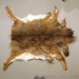 Whitetail deer hide has been tanned, measures approx. 3' x 4'.