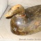 Hand carved wooden duck decoy has a good body and deteriorating head. Measures 15-1/2
