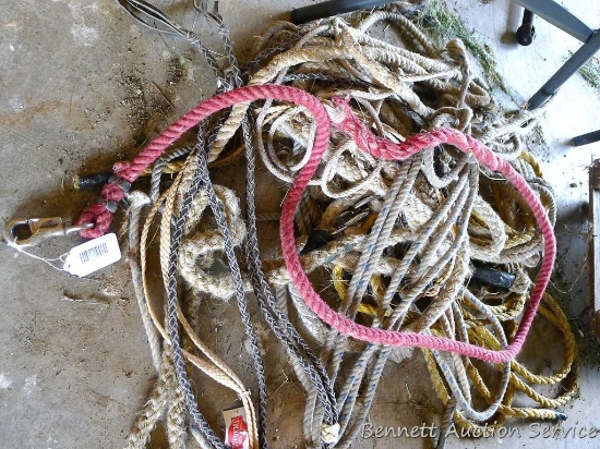 Lead ropes and lots of various pieces of rope for tying out animals.