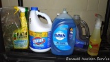 Full and mostly full bottles of Dawn dish soap, Clorox bleach, Bath & Kitchen cleaner, Tilex daily