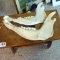 Six jaw halves from bovine, buffalo or similar, largest is approx. 1-1/2'.