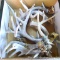 Quantity of antler sheds as pictured. Largest is approx. 12