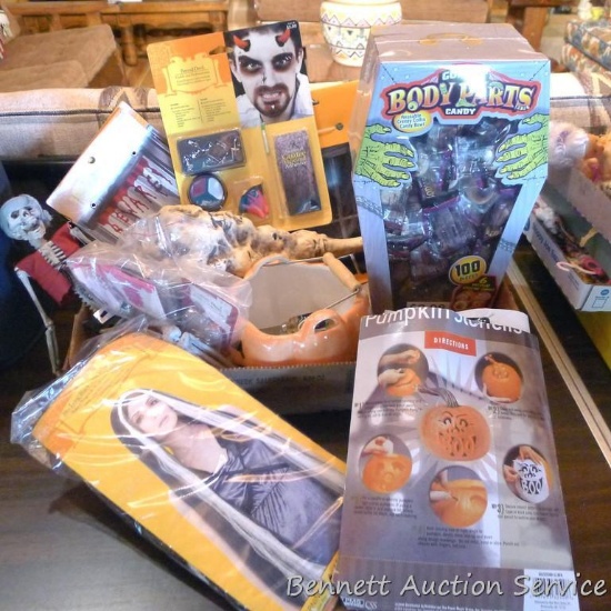 Halloween lot includes skeleton, wig, candy, more. See pics.