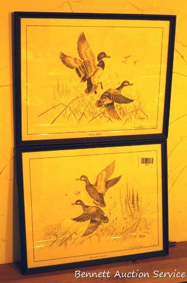 Mallard and Black Duck prints are signed and numbered by Tim Johnson. Frames are 15" wide.