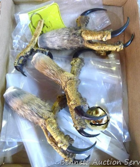 Four faux hawk talons. Three largest are approx. 6".