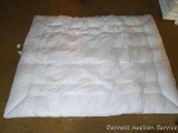 Pillowtex goose feather comforter is 60