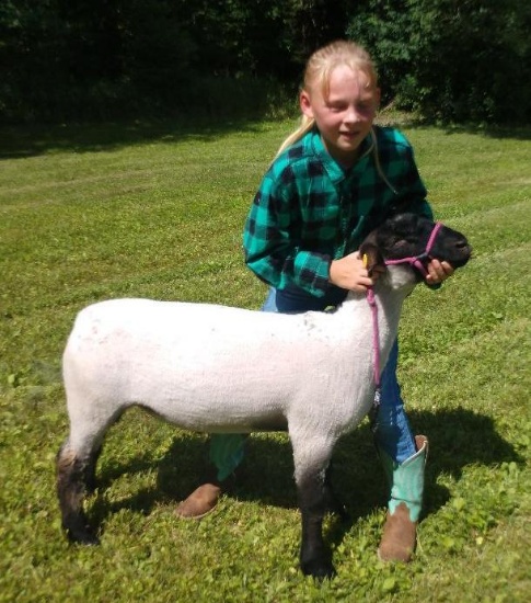 Makenzie Lyons - Oreo is 134 lbs.  Price is per pound.