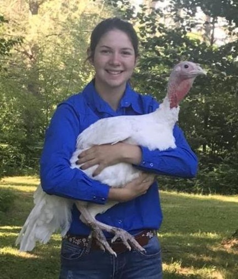 Ashley Hilgart selling 18 lb. turkey.  Price is for one turkey.