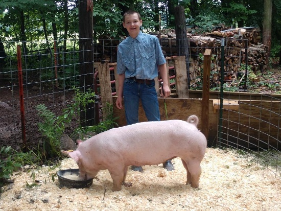 Shay Denzine selling 275 lb. hog.  Price is per pound.