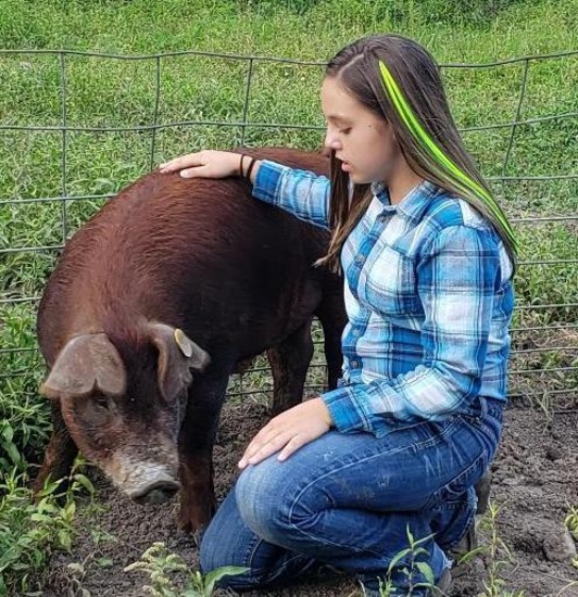 Ava Hughes - Bourbon is 258 lb.  Price is per pound.