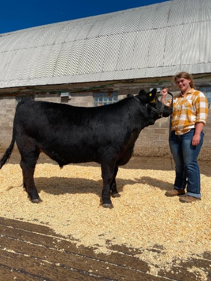 Brooke Lebal selling 1218 lb. steer.  Price is per pound.