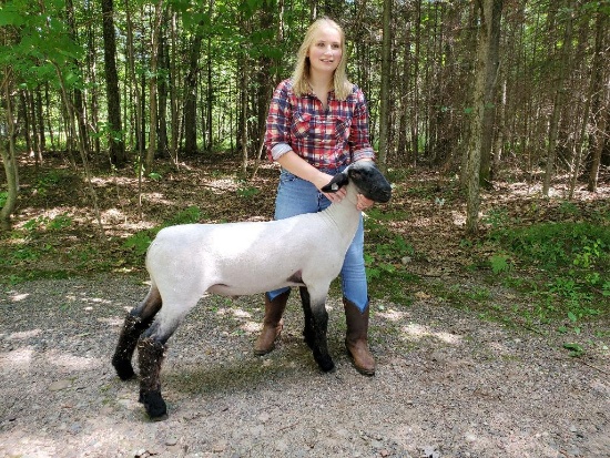 Ashlee Podmolik selling 169 lb. sheep.  Price is per pound.