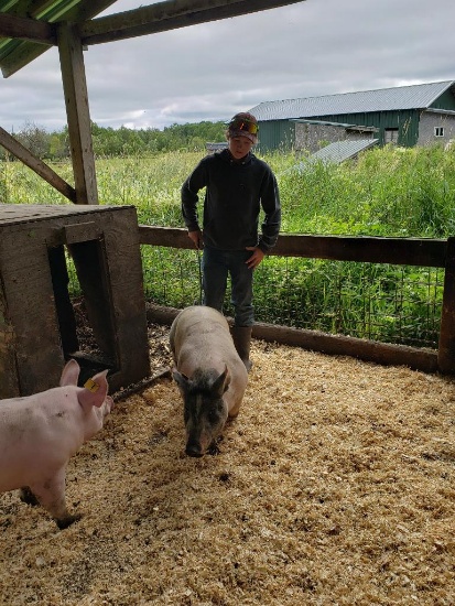 Tristan Hoffman selling 228 lb. hog.  Price is per pound.