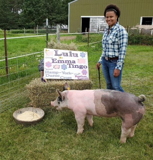 Emma Jo Tingo - LuLu is 227 lbs.  Price is per pound.