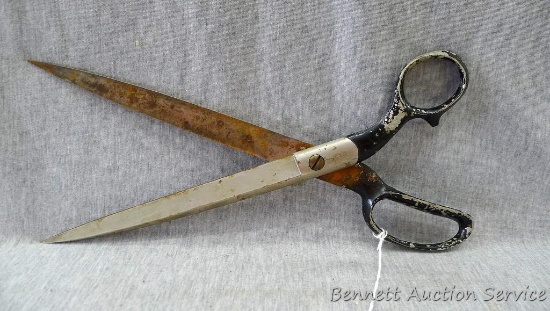 Huge Clauss USA scissors are 12" long. A little rust, should clean up nicely.