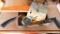 Rocket hatchet with a True Temper head; Sears Air Tool Balancer; hammer and saw; drywall tool; and a