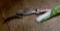 Fiskars extendable saw/pruner extends to 12'. Has extra pruning saw blade.