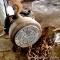1 ton high speed hoist made by Wright Mfg. looks to be in good shape. Includes one chain about 150