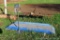 Optima livestock alleyway scale has a 2-1/2' x 8' platform and an OP-900B multi-function read out.