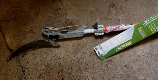 Fiskars extendable saw/pruner extends to 12'. Has extra pruning saw blade.
