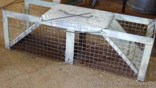 Large animal live trap is 11" x 12" x 36".
