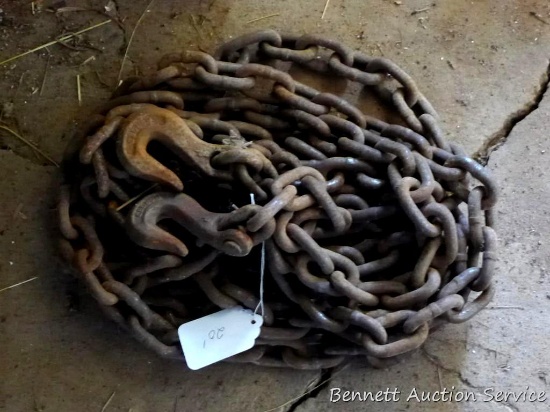 20' of 3/8" logging chain with grab hooks on both ends.