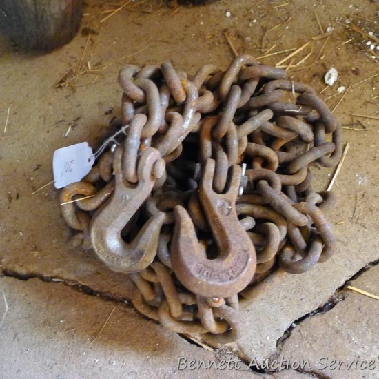 20' of 3/8" logging chain with grab hooks on both ends.