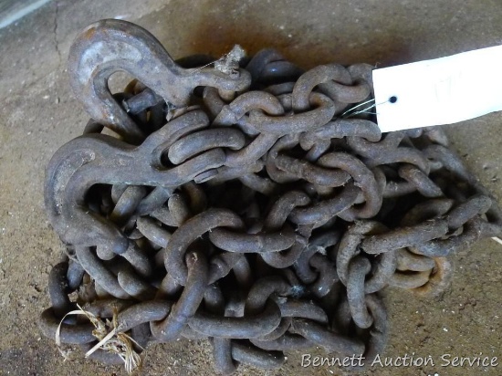 17' of 3/8" logging chain with grab hooks on both ends.