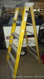 Werner 6' fiberglass step ladder model 7206 has 300 lb capacity.