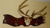 Coat hook with antler accent is 32