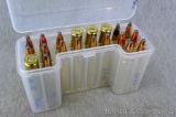 20 rounds .375 Ruger in Hornady brass. Cases and holder have handwriting suggesting these are