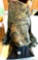 Cabela's Guide Series Turkey Hunting Vest; size Large; Mossy Oak Camouflage; removable zippered