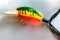 Novelty 10 bulb fishing light string, one bulb missing fish , 11 ft long, works